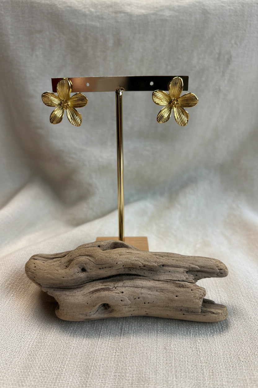 Boucles d'oreilles en acier inoxydable doré